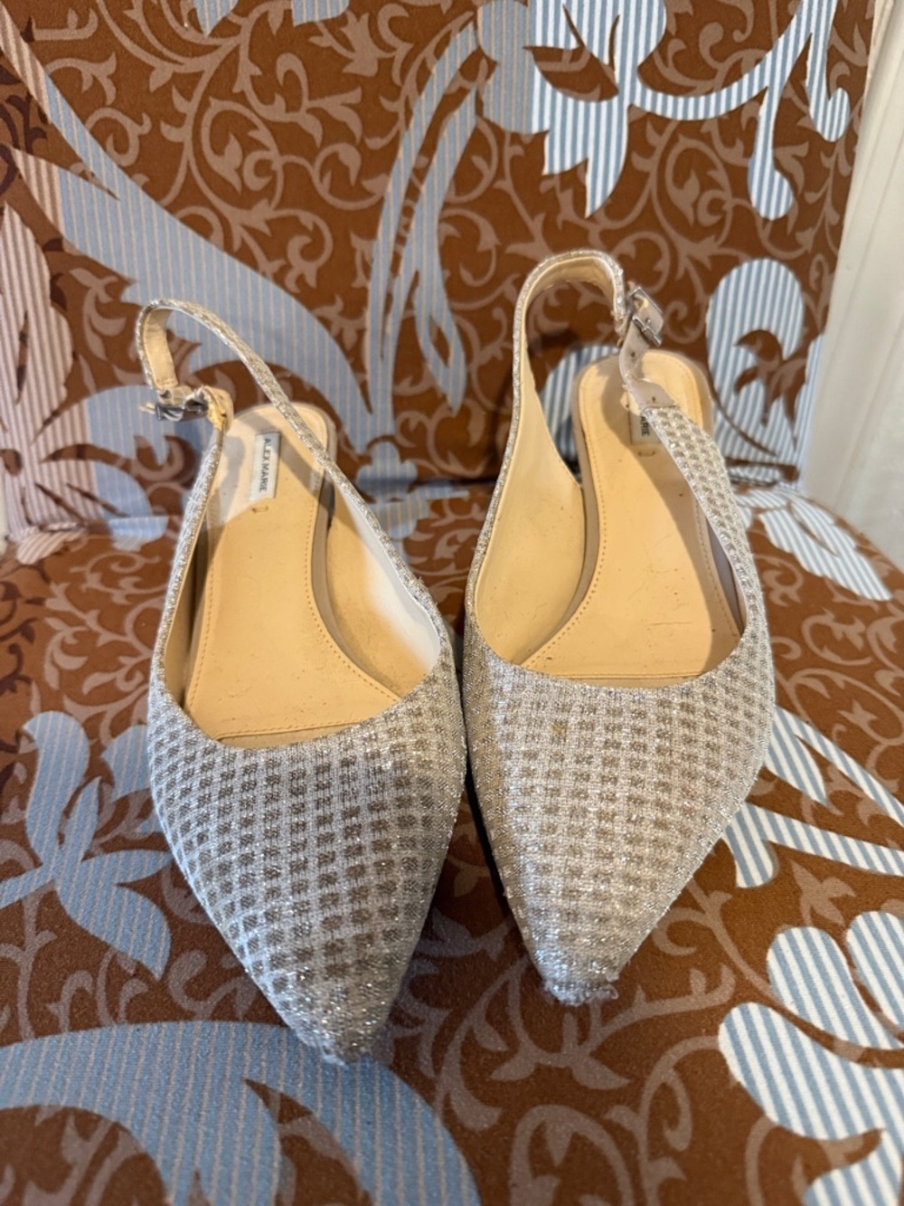Alex Marie Silver Textured Pointed Slingback Flats